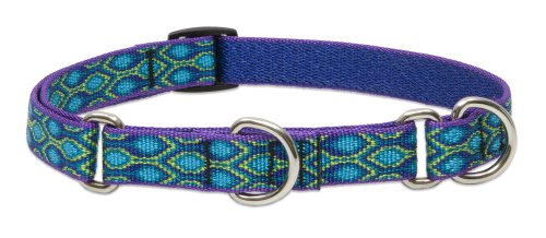 LupinePet Rain Song Dog Collar