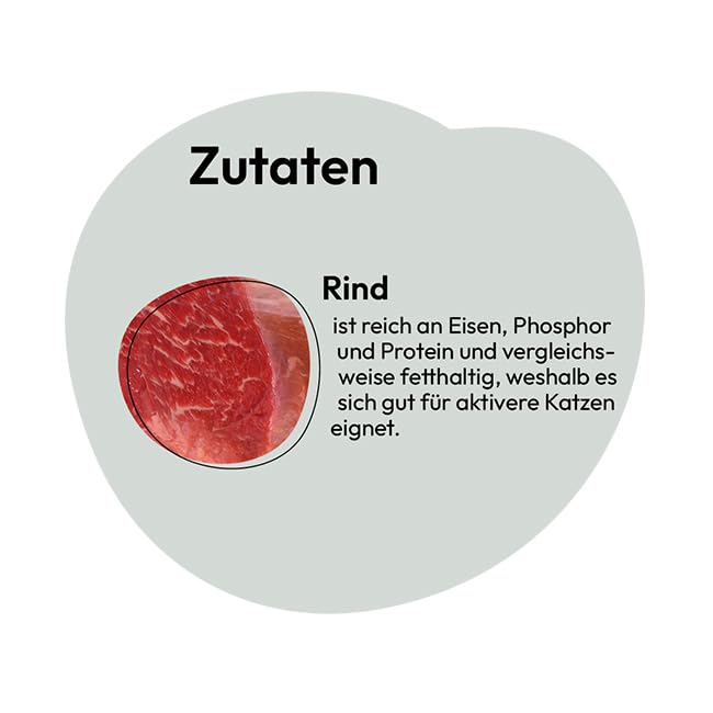 Het kiezen van goed natvoer, hoe doe je dat? - Davids Voerbak