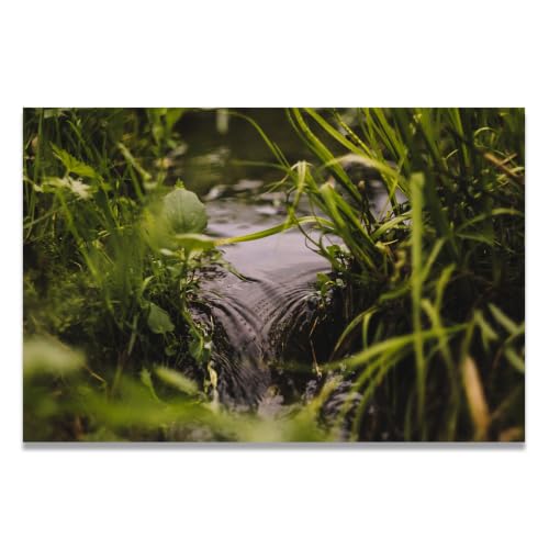 Cuadro de paisaje natural para dar luz y amplitud a un salón pequeño