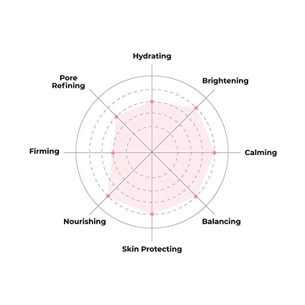 FACETORY Dream Garden Elderflower Mask (Pack of 5)- Rejuvenating, Illuminating, Hydrating Facial Sheet Mask