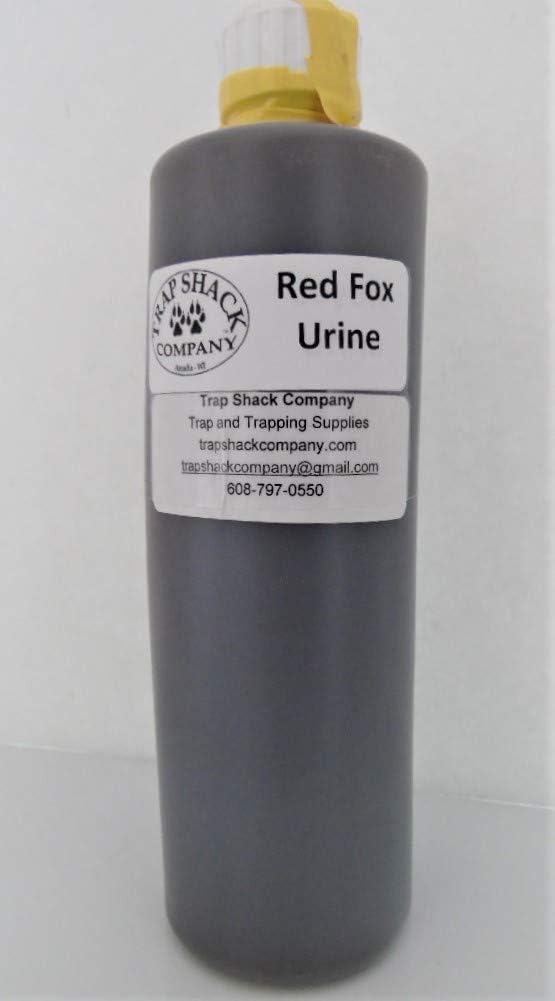 Amazon.com : Fresh Batch Trap Shack Co. Fox Urine - 16oz Full Strength! Red Fox Urine : Sports ...