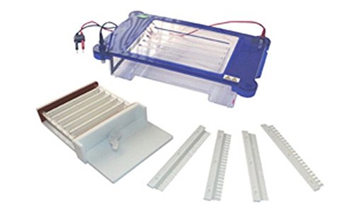 Gowe Horizontal Elektrophorese Tank DNA nukleinsäure-Reinigung und Vorbereitung Gel Größe: 200 * 200 mm