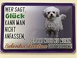 Generisch
