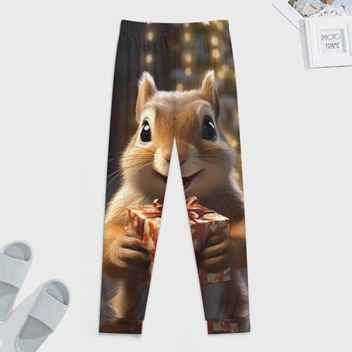 Christmas Squirrel Men's Pajamas Casual Sleep Pants Sweatpants Soft Sleepwear for Home3
