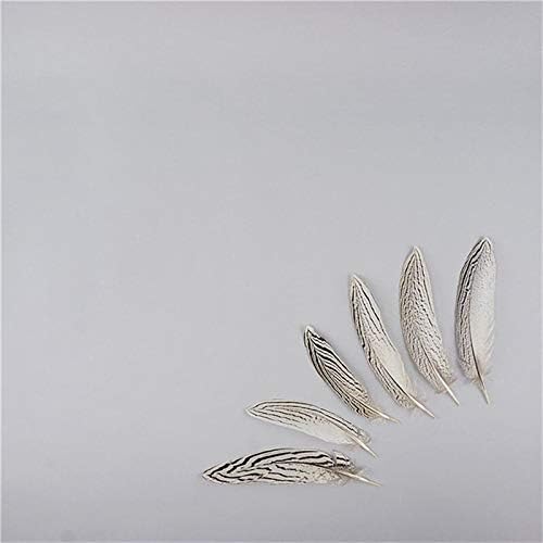 Jeniorr Natural White Pheasant Tail Feathers for Crafts 20-80cm Large Long Silver Chicken Feather Plumas Carnaval Plume Christmas Party Wedding Clothes Decoration Decor - 30 Piece
