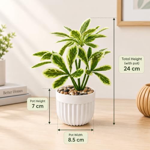 Image of CURATED CART Artificial Plant with Pot for Living Room, Home Decor, Office Tabletop & Indoor Decor, Fake Small Plant, Green Leaves Potted Plant, 24cm, Pack of 1