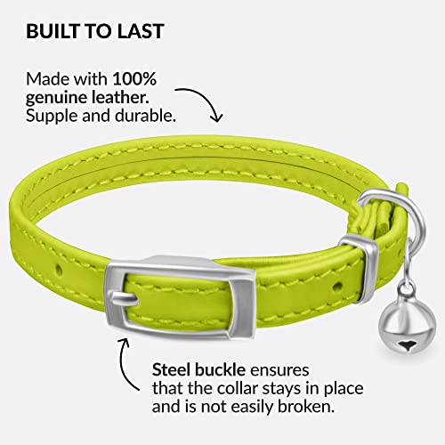 Image of CollarDirect Leather Cat Collar, Animal Collar with Elastic Safety Strap and Bell for Boy, Girl, Kitten (Neck Fit 6 inch-7 inch, Lime Green)
