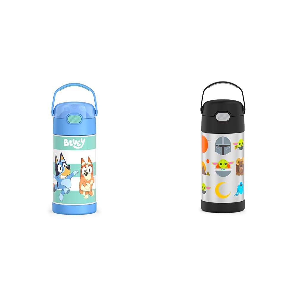 THERMOS FUNTAINER 12 Ounce Kids Water Bottles Bluey Mandalorian Stainless Steel Vacuum Insulated with Straw