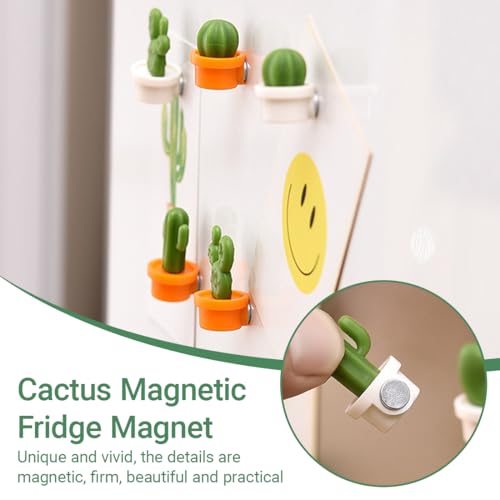12 imanes decorativos para refrigerador miniatura 3
