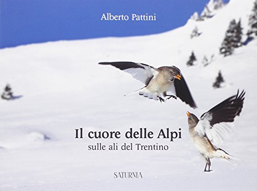 Il cuore della Alpi sulle ali del Trentino. Ediz. illustrata Il cuore della Alpi sulle ali del Trentino. Ediz. illustrata