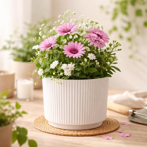 Image of Xtore Striataform Ceramic Ribbed Planter | Contemporary Round Flower Pot for Home, Bedroom, Study Table & Living Room Decor - (White, 1 Piece, Planter ONLY)