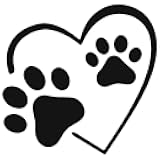 Inkbox Temporary Tattoos, Semi-Permanent Tattoo, One Premium Easy Long Lasting, Water-Resistant Temp Tattoo with For Now Ink - Lasts 1-2 Weeks (Panja)