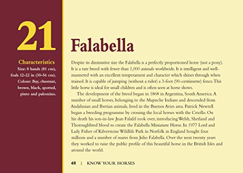 Know Your Horses (Old Pond Books) 44 Breeds from Andalusian to Welsh, with Essential Facts on History, Origin, Physical Characteristics, Natural Habitats, and More, plus Full-Page Photos of Each Breed - Image 6