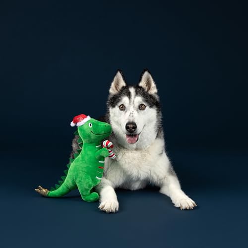 Fringe-Studio-Pet-Toy-REX-MAS-is-HERE-Green-Rex-Plush-Dog-Toy-PetShop-Collection-314629