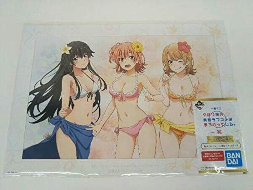 全商品ポイント2倍 やはり俺の青春ラブコメはまちがっている 完 フレーム付きイラストボード 代引同梱不可 その他 Rspg Spectrum Eu