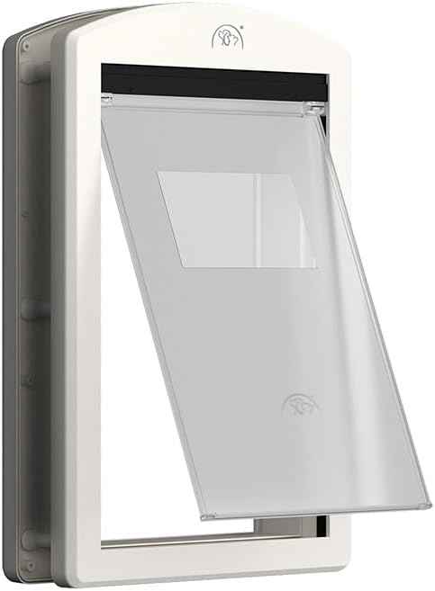 https://m.media-amazon.com/images/I/41zPsn96EtL._AC_SL1000_.jpg