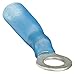 Ring Term,Heat Shrk,#10,1.20 in.,PK25
