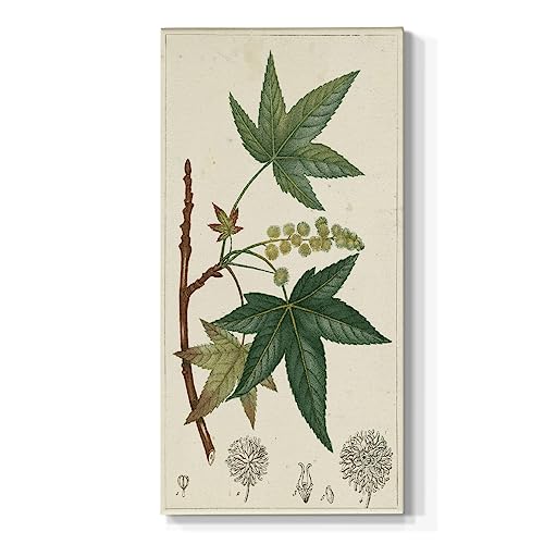 Renditions Gallery Canvas Botanical Paintings for Living Room Turpin Green Maple Tree Leaves Abstract Nature Artwork for Office Kitchen Hotel Decorations - 20"X40" LT520
