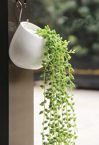 Yousun White Ceramics Wall Mounted Planters, Succulent Plants , Cactus Plants Pot Hanging Or Freestanding Vase With S-Type Hook #TOP3