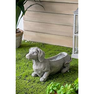   urban country home decor