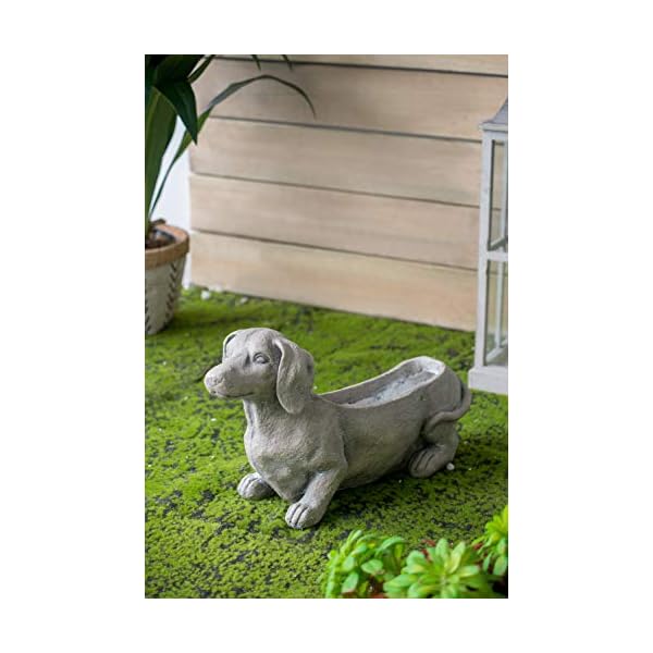   urban country home decor