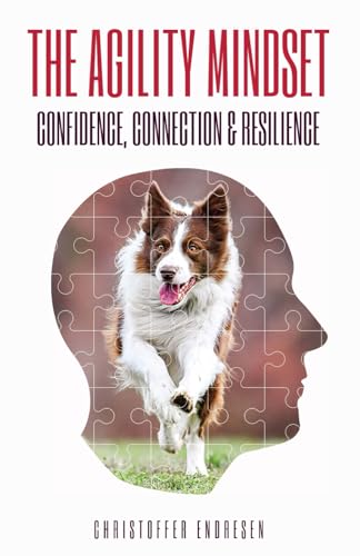 The Agility Mindset