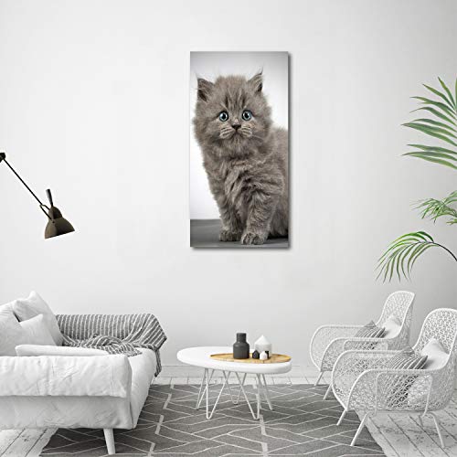 Impression sur verre 60x120 cm chat britannique deco murale - 4