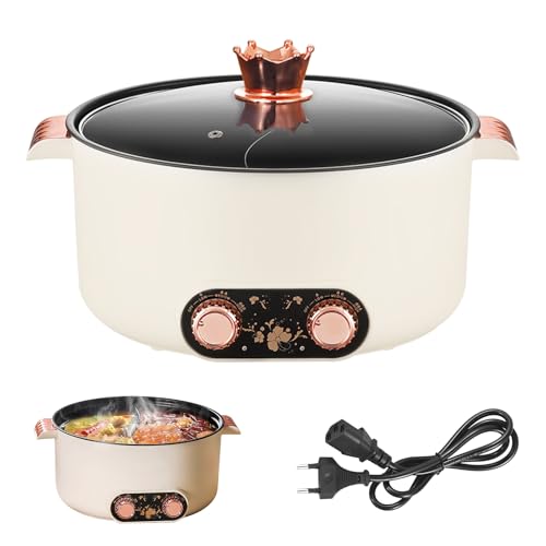 Appareil a Fondue, Fondue Chinoise 5 L à avec Compartiments Rechaud Electrique Pot 1 350 W avec 3...