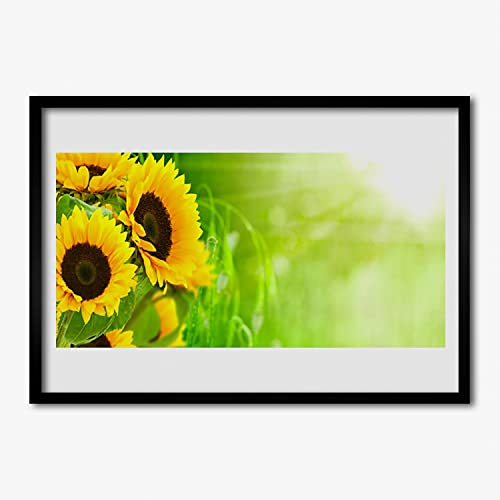 Plante de tournesols en affiche encadrée Tulup pour créer une ambiance nature dans votre chambre