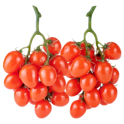 PH PandaHall 2 Pack Artificial Cherry Tomatoes Artificial Fruit Lifelike Simulation Tomato Artificial Red Tomatoes Decoration Faux Fruit Props for Home Kitchen Cabinet Party Pretending Prop