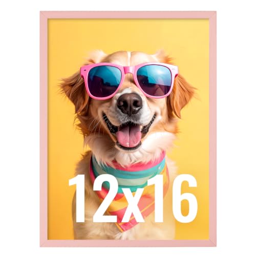 Image of LaVie Home 12x16 Picture Frame for Wall Display, 12x16 Pink Picture Frame with HD Plexiglas, 12 x 16 Poster Frame 1 Pack, Display Frame for Vertical or Horizontal, Classic Collection