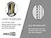 2 x LED Lantern V2.0 with Flashlight - The Original & Best Lantern/Flashlight Combo. 2020 Tech (350 LUMENS) - Collapsible Camp Lamp - Great Light for Camping, Car, Shop, Garage - Batteries Included