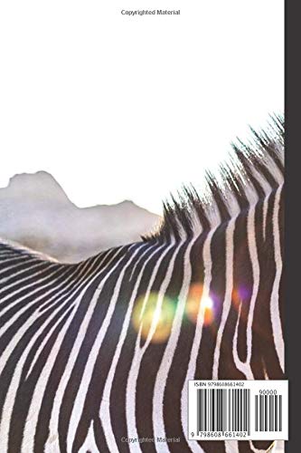 Zebra Notebook: Small lined Zebra notebook - Travel Journal to write in - 120 pages - 6"x9" - Image 2