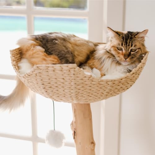 Image of Mau - Modern Wood Cat Tree Tower with Scratching Post, Aesthetic Cat Condo