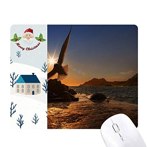 I[VEC[OȊw͎R̎ʐ^ T^N[XƉS̃}EXpbh