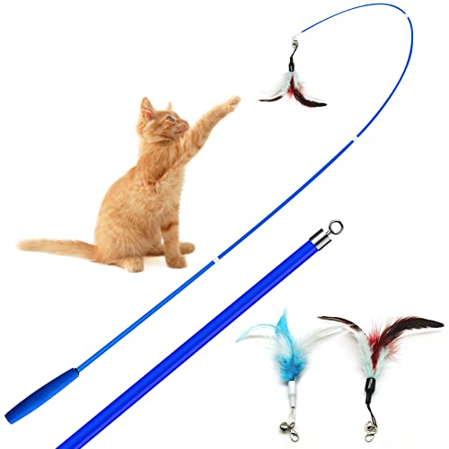 🐾【Usando Suggerimenti】Dato che si tratta di un giocattolo di gatto interattivo, suggeriamo gentilmente di supervisionare il tuo gatto sempre quando giocano questo giocattolo nel caso in cui mordono il gancio di metallo e la bacchetta. Tienilo in un luogo sicuro che gli animali domestici non possono raggiungere.
