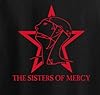 Punk Skull Biker Glam Rock Band Irish Punk Stiff Rock Sham Sisters of Mercy T-Shirt Top (Black T-Shirt Red Print, 4XL) #1