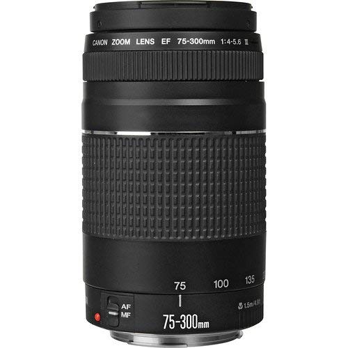 ★極上品★ CANON EOS M5 15-45mm 18-150mm STM Canon EOS M5 Mirrorless Digital Camera with 18-150mm 1279C021AA
