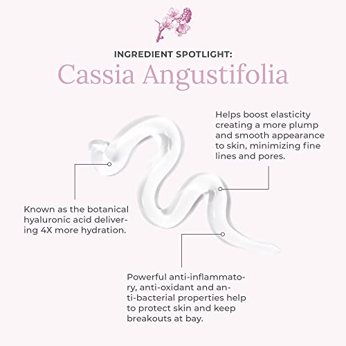 Amazing Cosmetics Anti Aging Face Primer, Face Moisturizer Botanicals For All Day Hydration And Blurs Fine Lines, Wrinkles And Large Pores For A Non Greasy Long Wearing Foundation Makeup Application #TOP1