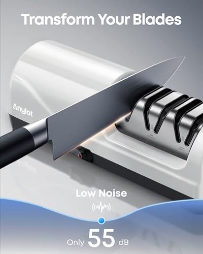 Professional Electric Knife Sharpener