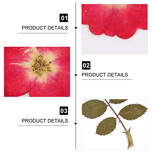 ABOOFAN 36 Peças Pacote Floral Espécime De Flores Mistas Flores Secas Embelezamento Rosas Naturais P