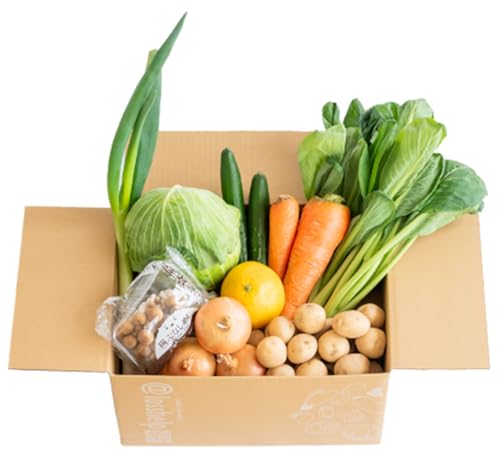 多数のメディアで紹介されました![訳あり]旬のもったいないお野菜詰め合わせセットSサイズ/訳あり 訳アリ ロスヘル 野菜 規格外野菜 冬野菜 やさい サラダ フードロス 果物 くだもの フルーツ 福井県鯖江市