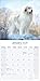 Great Pyrenees 2026 Calendar | Square Wall Calendar | Dog Breed Gift | Plastic Free Packaging | by Avonside Publishing