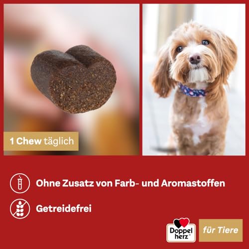 Doppelherz Gelenk Complex für Hunde – Mit essentiellen Omega-3 Fettsäuren + Vitamin E – 60 Chews