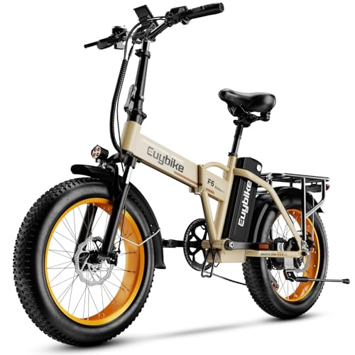 1000W Folding Electric Bike, 48V 20AH Large Removable