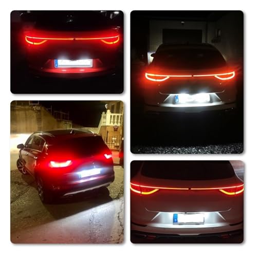 Luces matrícula LED SMD para solucionar fallo luz fundida en Kia Optima y Ceed 2