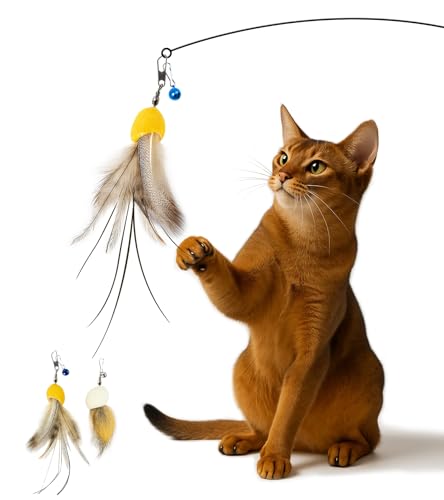 L  VRȎ\̖ GHOSTCAT L炵 2_Zbg  L̂ 1{ފƕt lV L  H VR̉H xt GEEAĂȂh L R LXgXy ^s ؐ̃nh