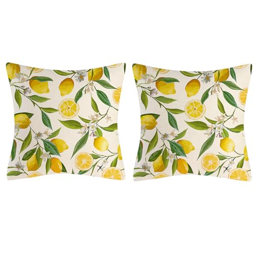 lmoikesz Funda de cojín para Exterior de 2 Piezas con diseño de limón Amarillo, 45 x 45 cm, para decoración de balcón y jardín, A