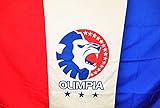 Bandera grande Olimpia de Honduras; 39 Titulos 1.45 MTS Largo y 0.81 MTS Alto; Tu Equipo Favorito del Pais donde Tu Naciste, Recuerdo de Tus Raices - Bandera de Los Leones