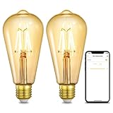 Diseño retro de cristal: combina el aspecto de filamento antiguo y la tecnología moderna, las bombillas vintage inteligentes añaden un tinte cálido de 2200 K a tu espacio y te ofrecen la comodidad de un control inteligente. La carcasa transparente de cristal te permite sumergirte completamente en el maravilloso ambiente relajante.